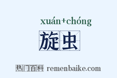 旋虫是什么意思的图片